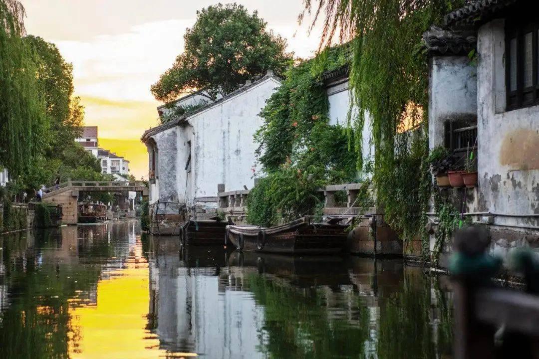 轻信“代理退保”是救命稻草,结果却是踏入陷阱的开始