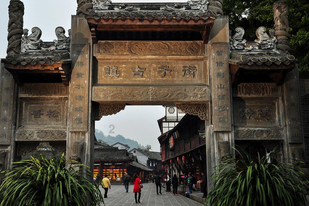 五彩鹦鹉救援